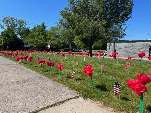mathewson poppies